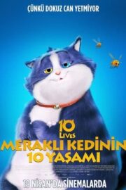 Meraklı Kedinin 10 Yaşamı